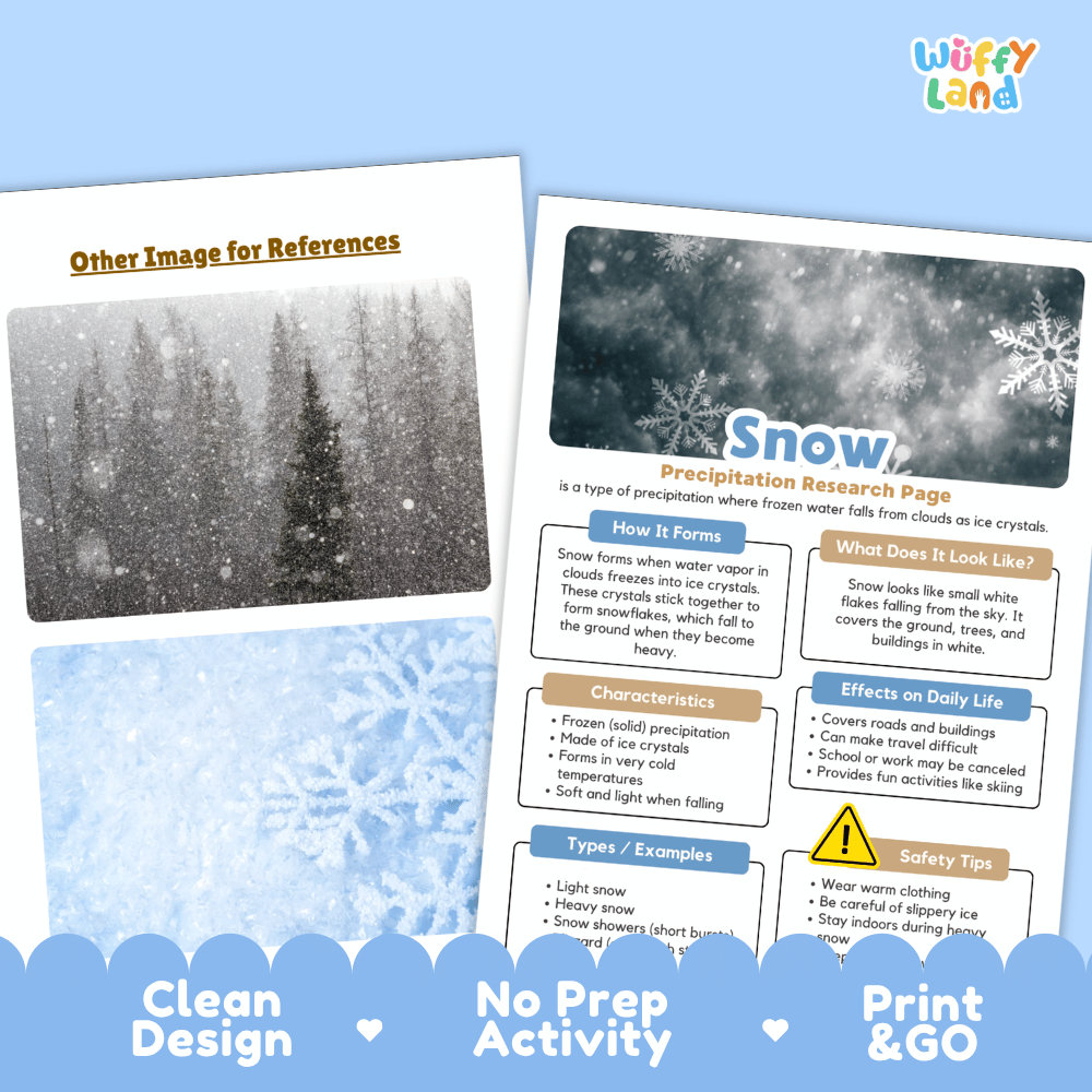 Snow Precipitation Research Page Worksheets Weather Science Activity