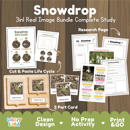 Snowdrop plant life cycle 3-in-1 complete study bundle featuring real images, Montessori 3-part cards, cut and paste activities, and research pages