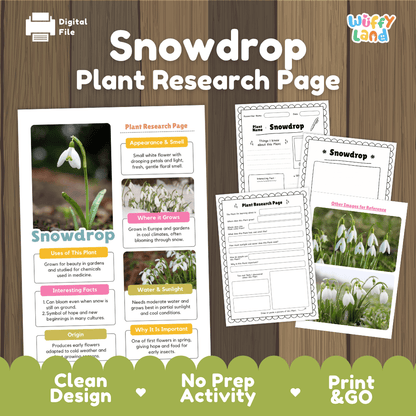 Snowdrop Plant Research Pages and Worksheets