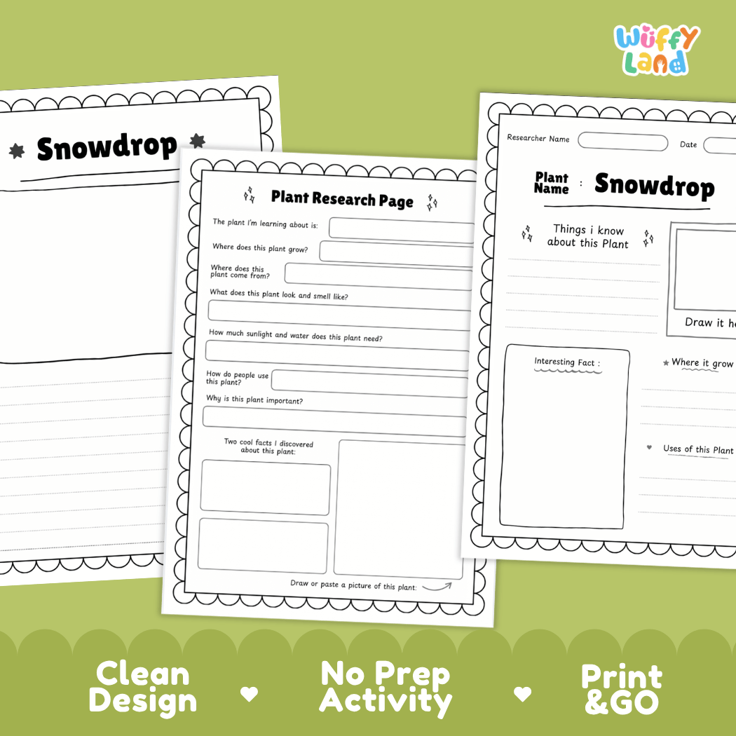 Snowdrop Plant Research Pages and Worksheets