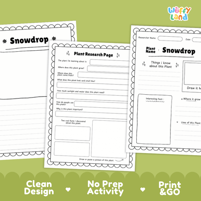 Snowdrop Plant Research Pages and Worksheets