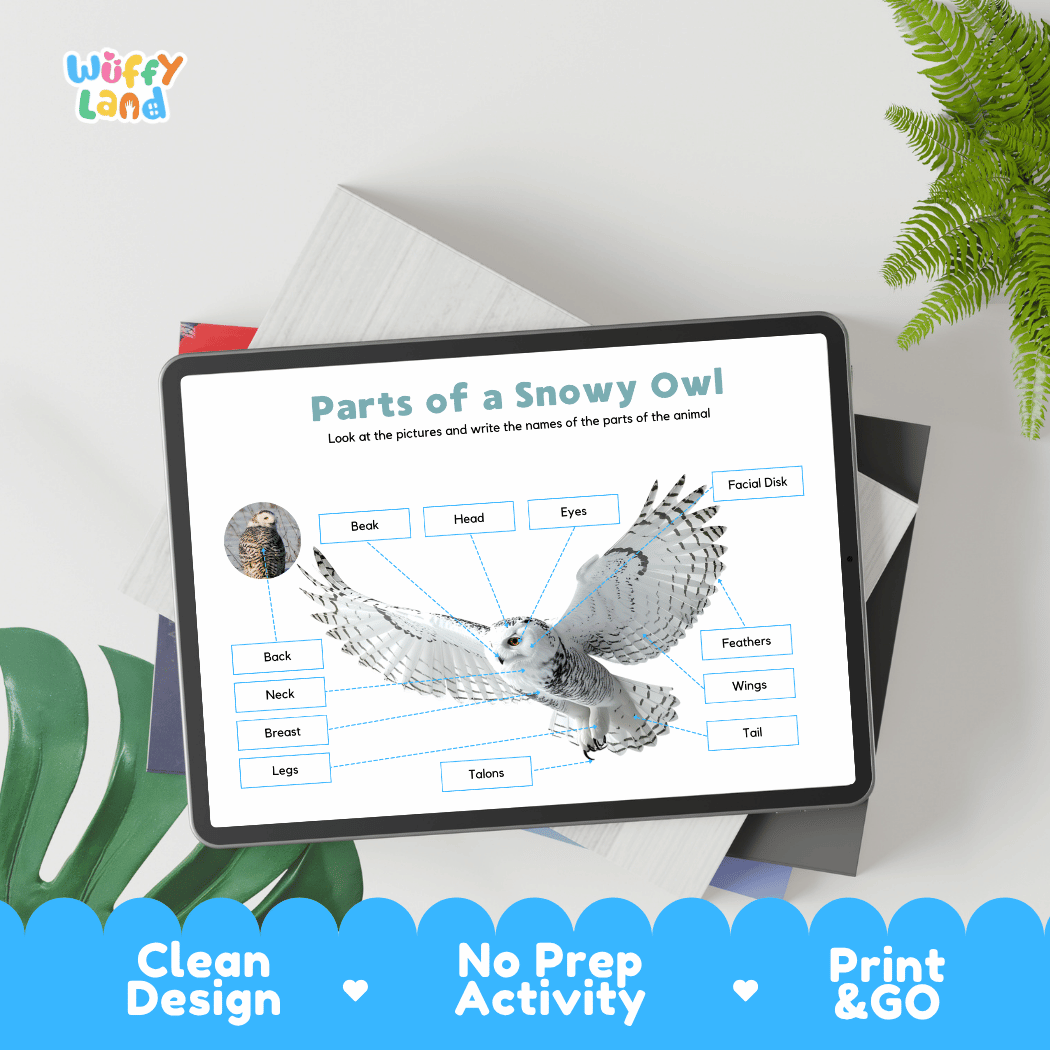 Hands-on snowy owl anatomy cut and paste worksheet with printable word tags, callout pointer lines, and scissors graphic