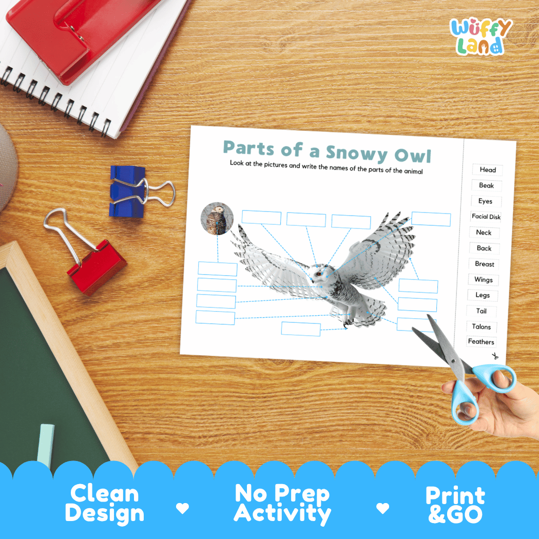 Differentiated snowy owl body parts labeling worksheets featuring fill-in write-in boxes and vocabulary word bank