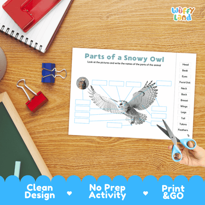 Differentiated snowy owl body parts labeling worksheets featuring fill-in write-in boxes and vocabulary word bank