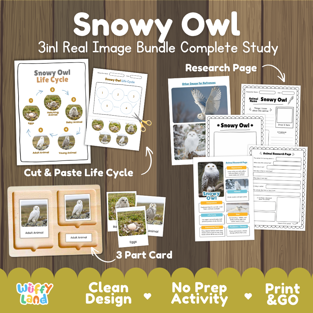 Snowy Owl 3-in-1 real image bundle complete study cover showing cut and paste life cycle, 3 part cards, and research pages