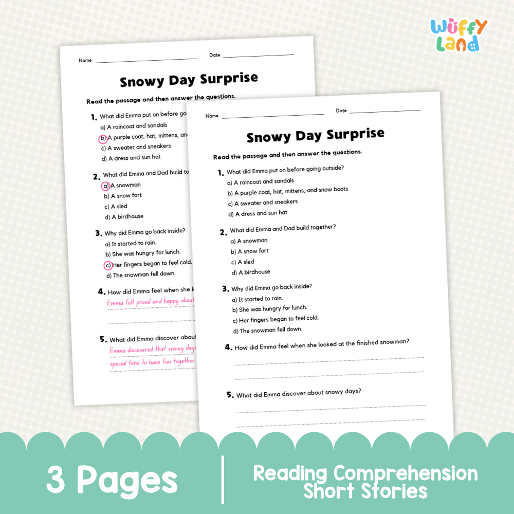 Snowy Day Surprise Reading Comprehension Passage and Questions Worksheets