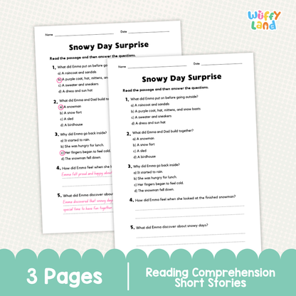 Snowy Day Surprise Reading Comprehension Passage and Questions Worksheets