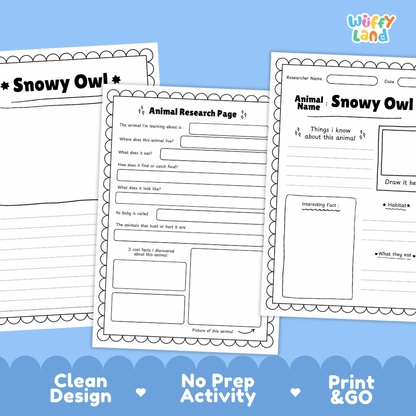 Snowy Owl Animal Research Page Worksheets and Fact Sheet