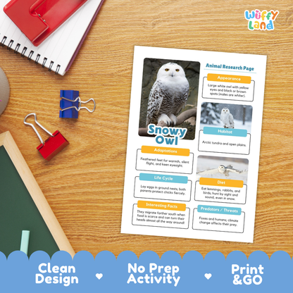 Snowy Owl Animal Research Page Worksheets and Fact Sheet