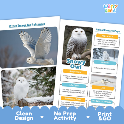 Snowy Owl Animal Research Page Worksheets and Fact Sheet