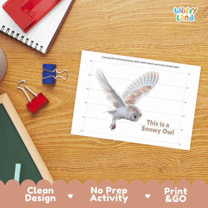 Snowy Owl Cut and Match Puzzle Activity Worksheets