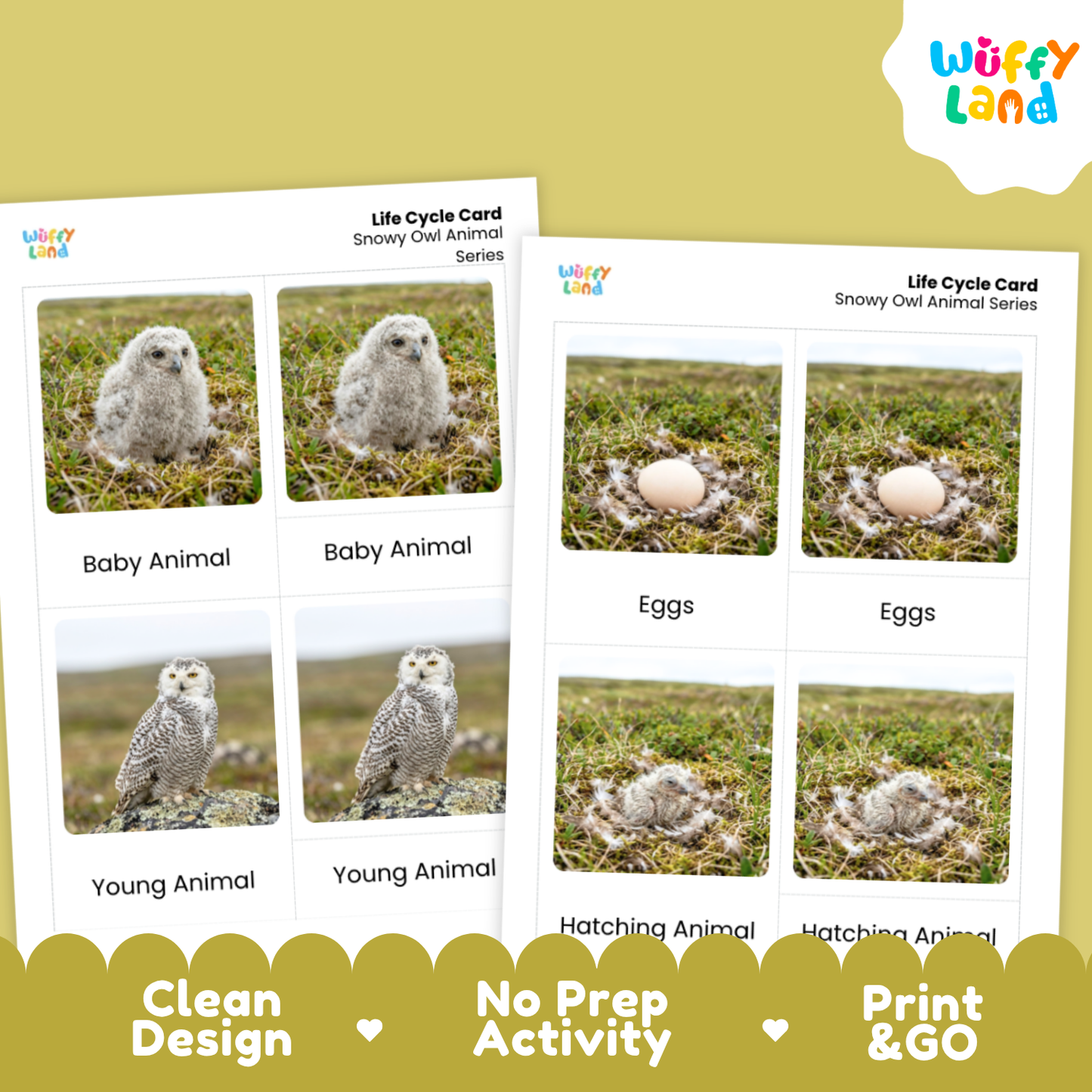 Snowy Owl Life Cycle Flashcards | Montessori 3 Part Cards Science Activity