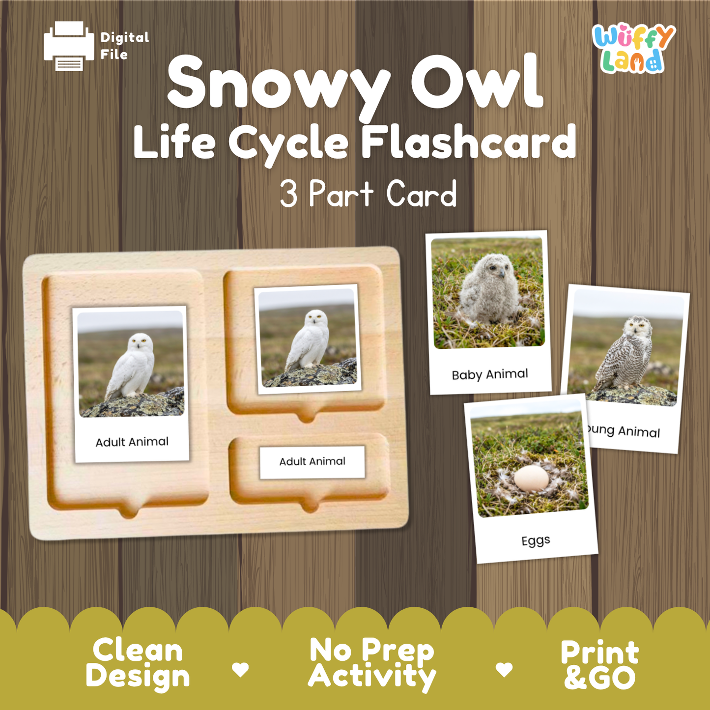 Snowy Owl Life Cycle Flashcards | Montessori 3 Part Cards Science Activity