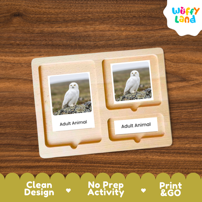 Snowy Owl Life Cycle Flashcards | Montessori 3 Part Cards Science Activity