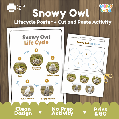 Snowy Owl Life Cycle Poster and Cut and Paste Worksheet Activity
