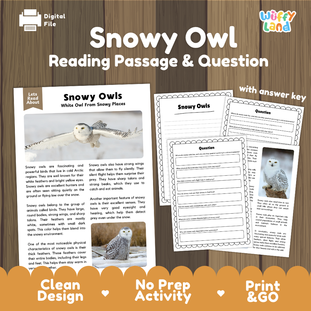 Snowy Owl Reading Passage and Questions Worksheets with Answer Key
