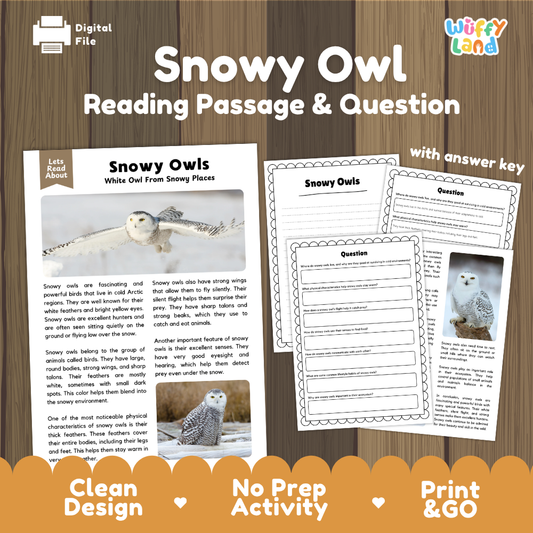 Snowy Owl Reading Passage and Questions Worksheets with Answer Key