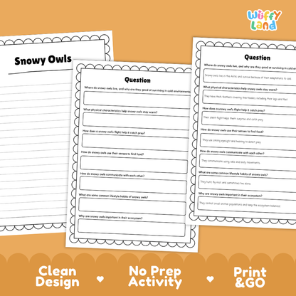 Snowy Owl Reading Passage and Questions Worksheets with Answer Key