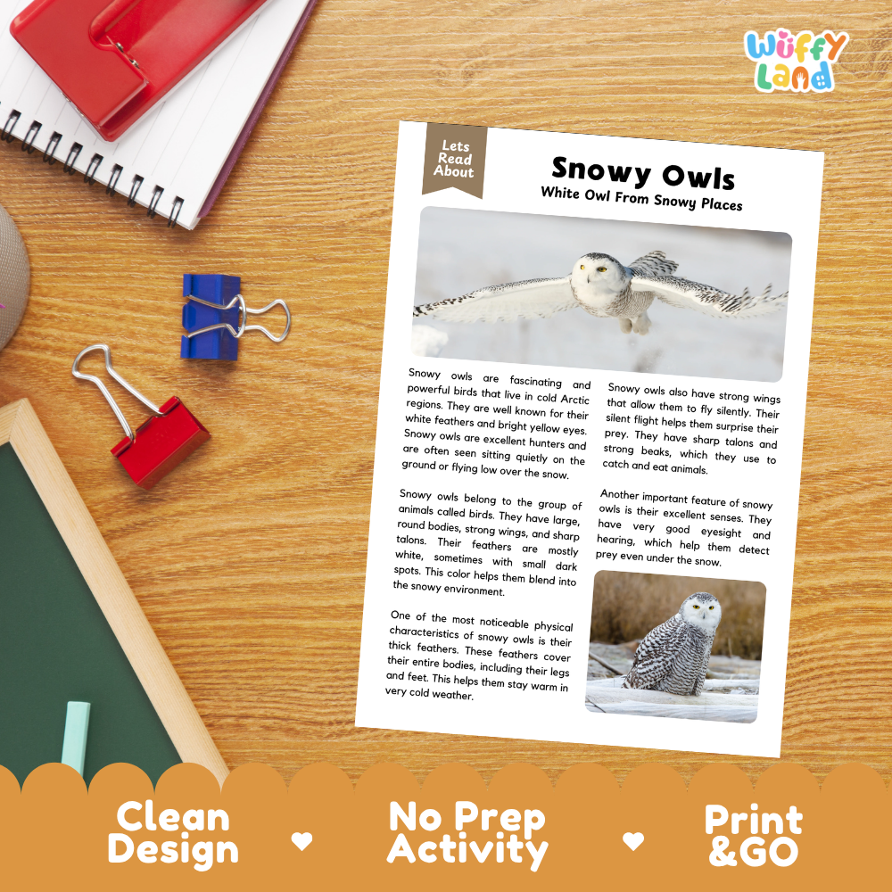 Snowy Owl Reading Passage and Questions Worksheets with Answer Key