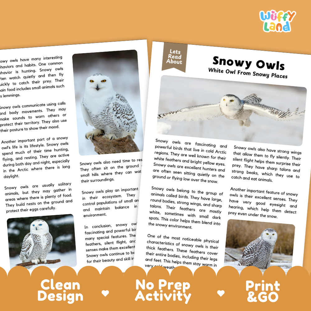 Snowy Owl Reading Passage and Questions Worksheets with Answer Key