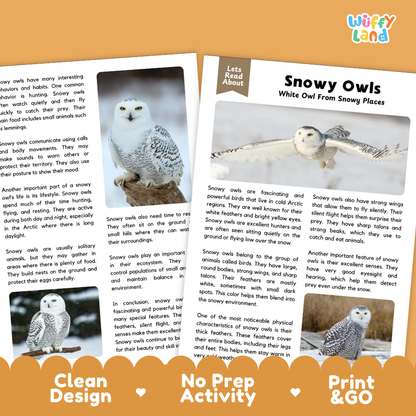 Snowy Owl Reading Passage and Questions Worksheets with Answer Key