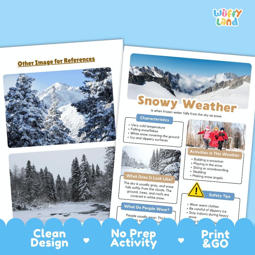 Snowy Weather Research Worksheets and Informational Fact Sheets