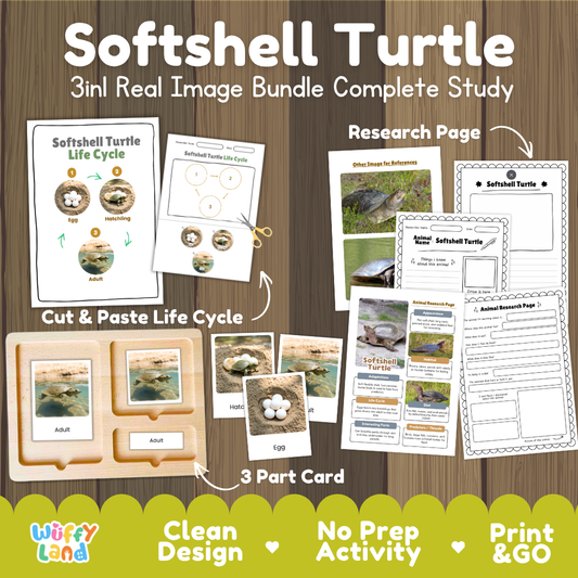 Softshell turtle 3-in-1 real image bundle complete study cover showing cut and paste life cycle, 3 part cards, and research pages