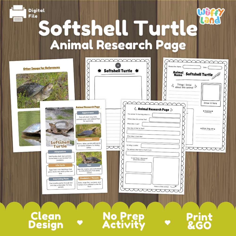 Softshell Turtle Animal Research Worksheets and Informational Fact Sheets