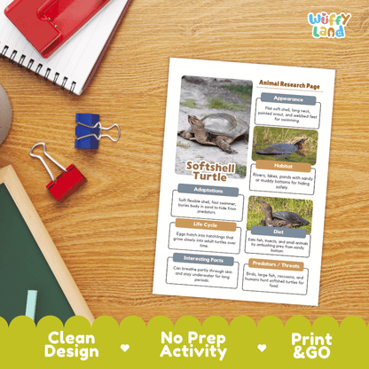 Softshell Turtle Animal Research Worksheets and Informational Fact Sheets