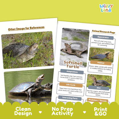 Softshell Turtle Animal Research Worksheets and Informational Fact Sheets