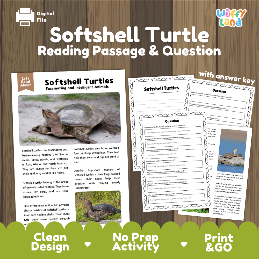 Softshell Turtle Reading Passage and Questions Worksheets with Answer Key