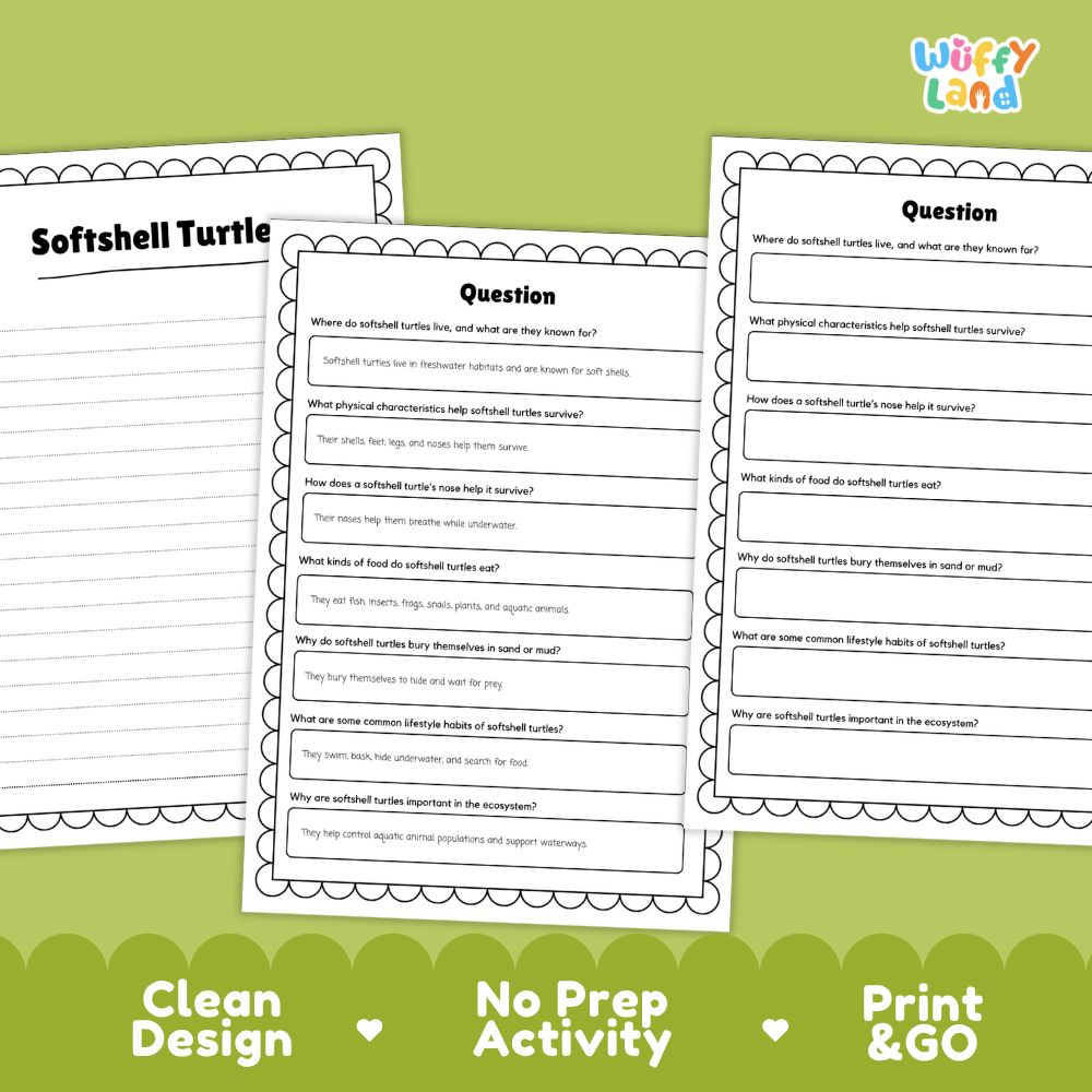 Softshell Turtle Reading Passage and Questions Worksheets with Answer Key