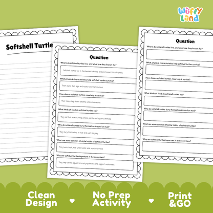 Softshell Turtle Reading Passage and Questions Worksheets with Answer Key