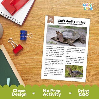 Softshell Turtle Reading Passage and Questions Worksheets with Answer Key