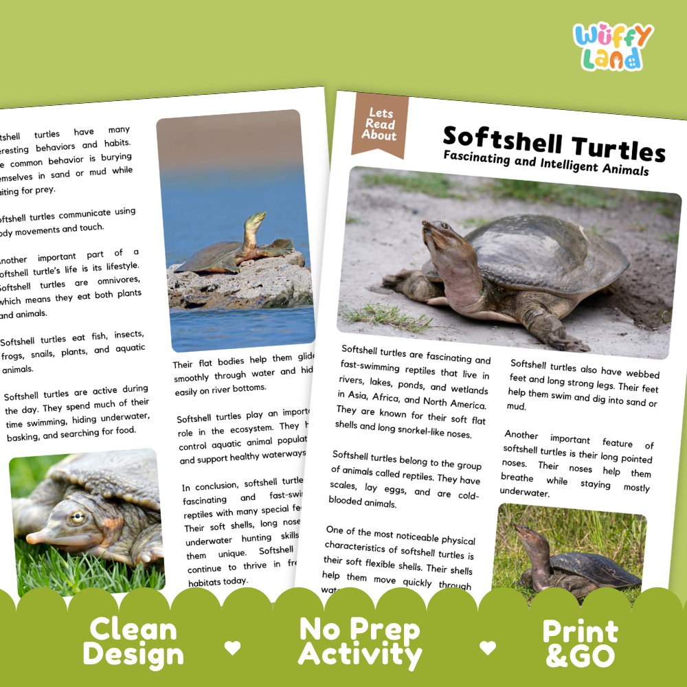 Softshell Turtle Reading Passage and Questions Worksheets with Answer Key