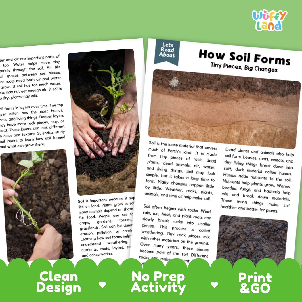 Complete teacher answer key worksheet providing detailed model responses for soil formation comprehension questions