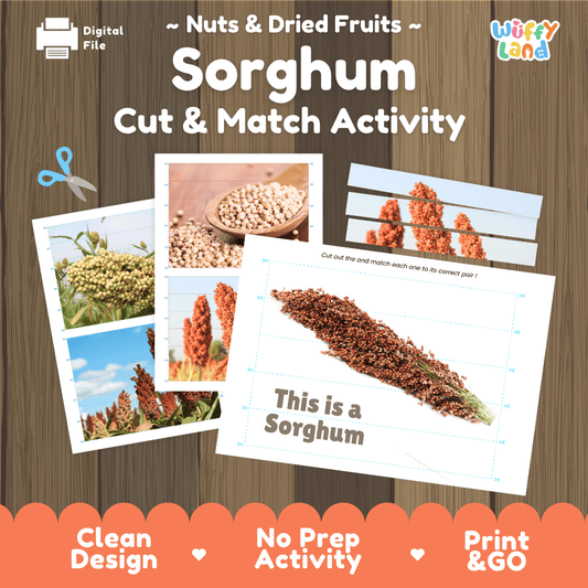 Sorghum Cut and Match Activity Worksheets | Nuts and Dried Fruits Puzzle Printables