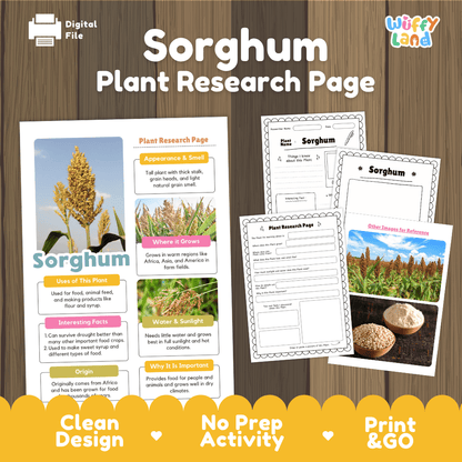 Sorghum Plant Research Page Worksheets and Fact Sheet
