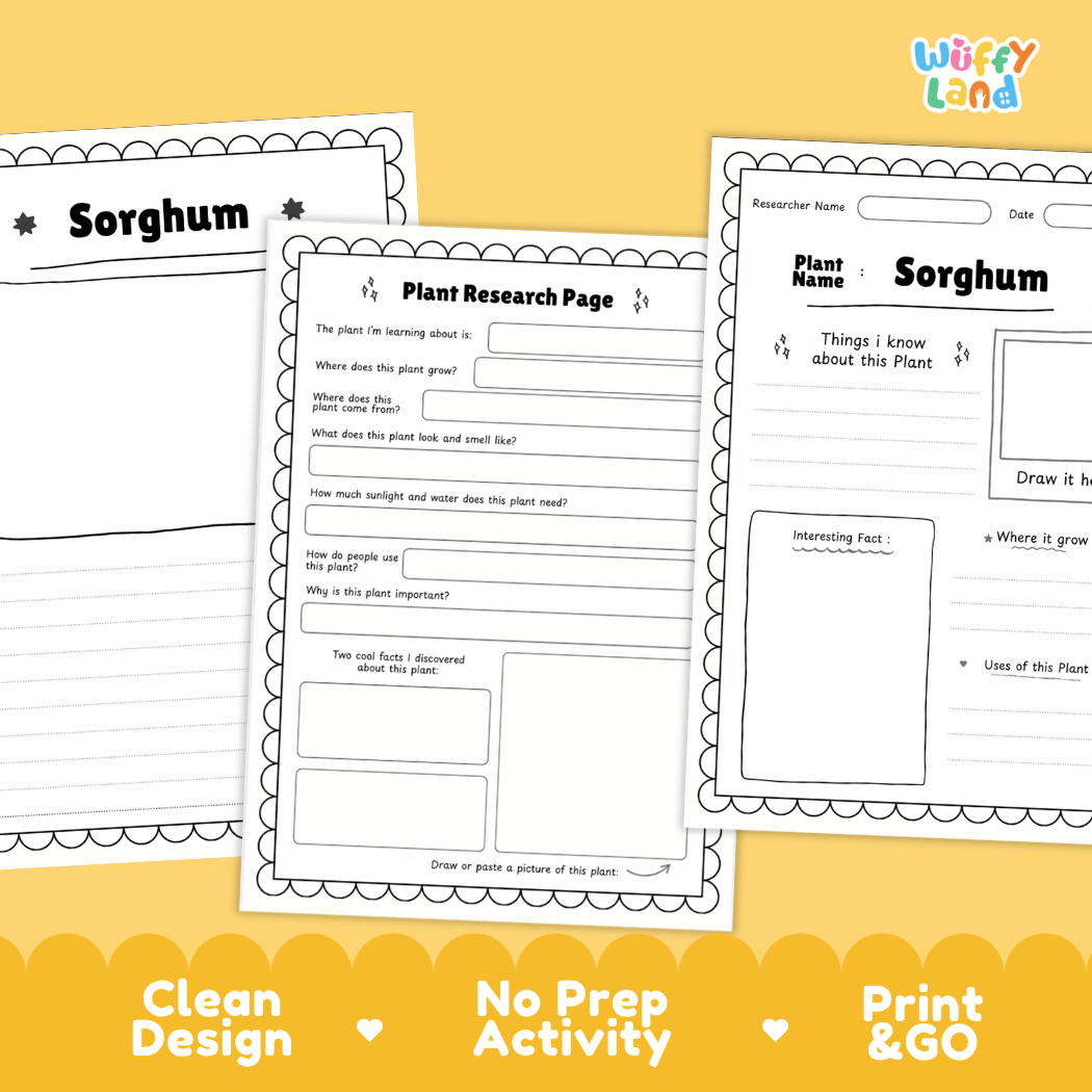 Sorghum Plant Research Page Worksheets and Fact Sheet
