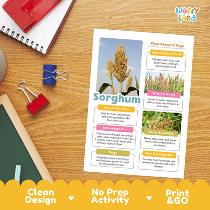 Sorghum Plant Research Page Worksheets and Fact Sheet