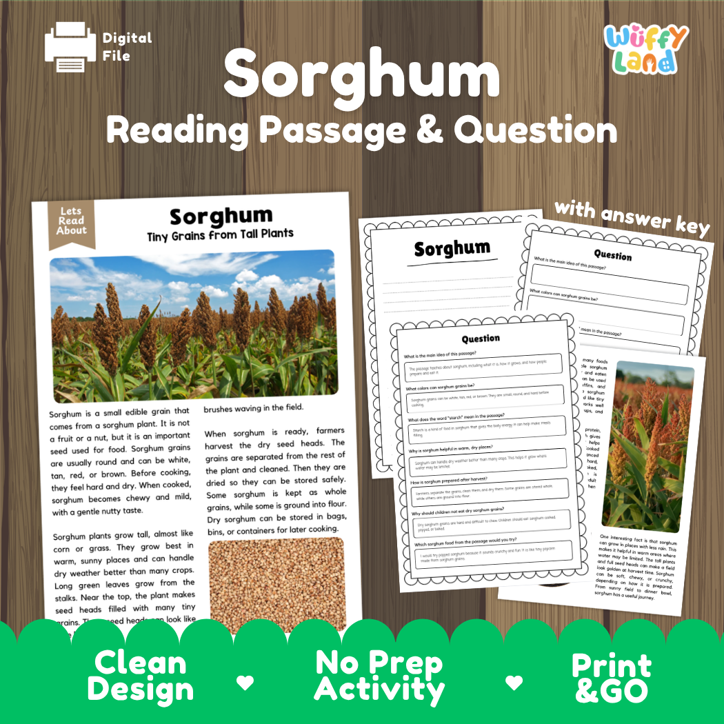 Sorghum Reading Passage and Comprehension Questions Worksheets with Answer Key