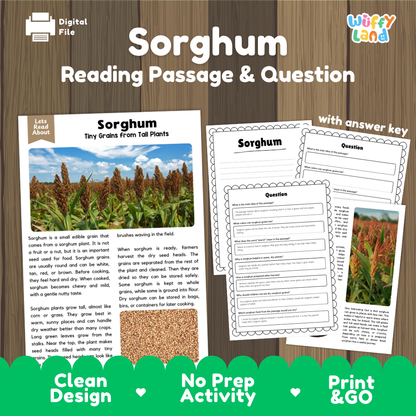 Sorghum Reading Passage and Comprehension Questions Worksheets with Answer Key