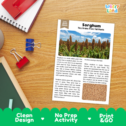 Sorghum Reading Passage and Comprehension Questions Worksheets with Answer Key