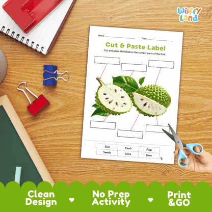 Differentiated soursop fruit labeling worksheets featuring write-in callout boxes and vocabulary word bank
