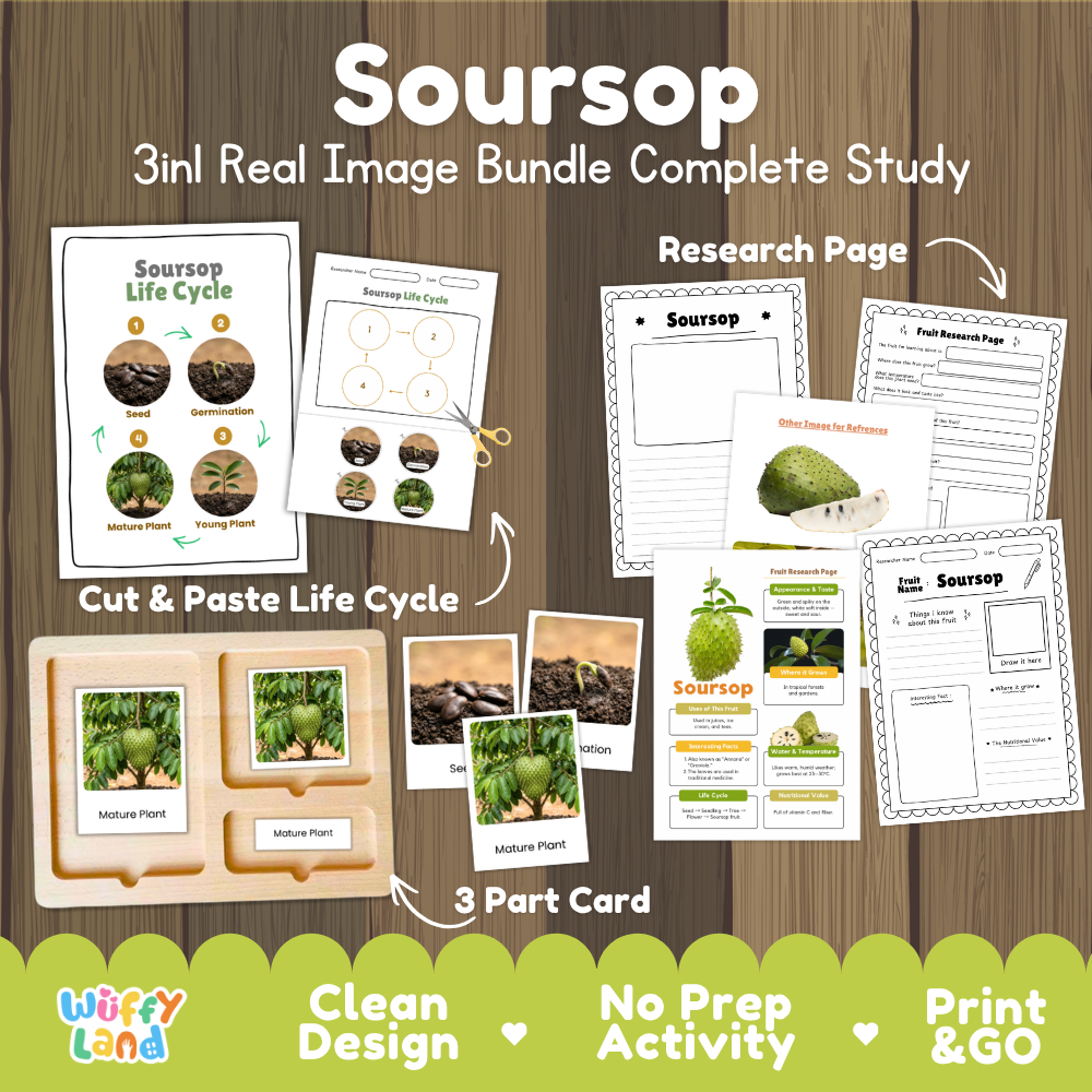 Soursop 3-in-1 real image bundle complete study cover showing cut and paste life cycle, 3 part cards, and research pages
