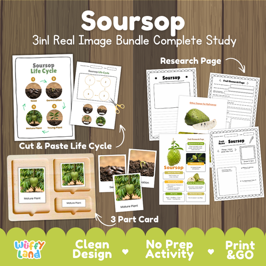 Soursop 3-in-1 real image bundle complete study cover showing cut and paste life cycle, 3 part cards, and research pages