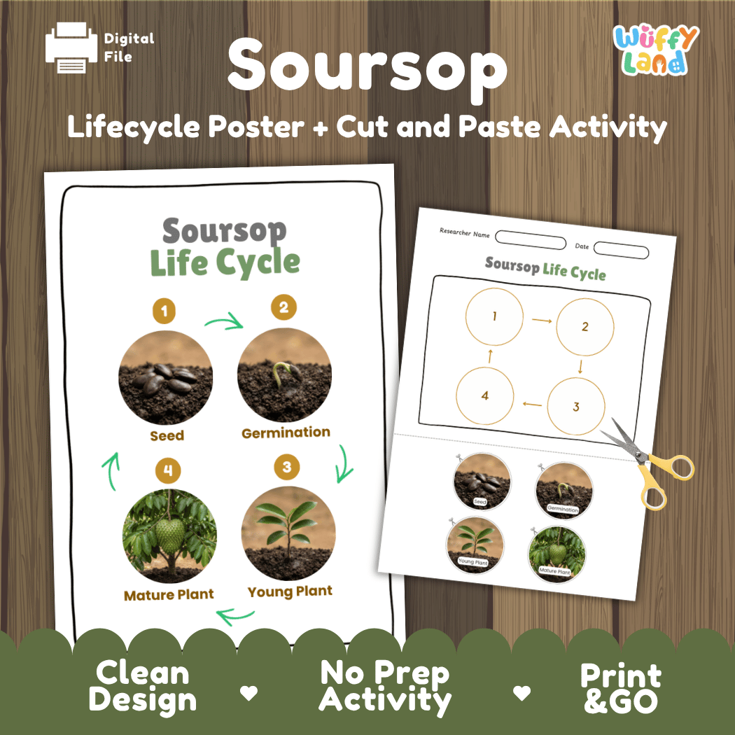 Soursop tree plant life cycle educational poster and cut and paste printable sequencing activity featuring real photos for elementary science