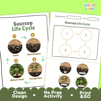 Print and go digital PDF plant science activity featuring clean design layout, researcher name line, and zero prep classroom format