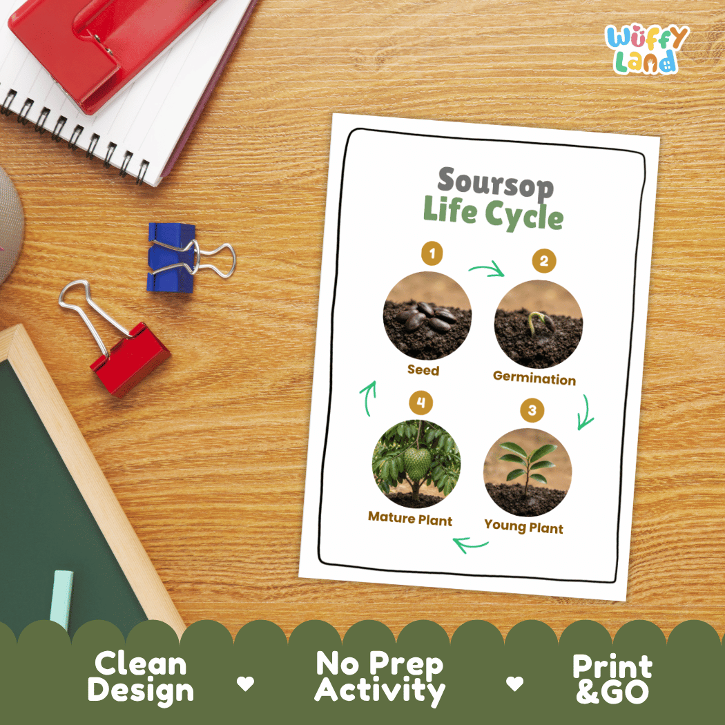 Hands-on cut and paste science worksheet with numbered circular slots for students to sequence real photo stages of a soursop tree
