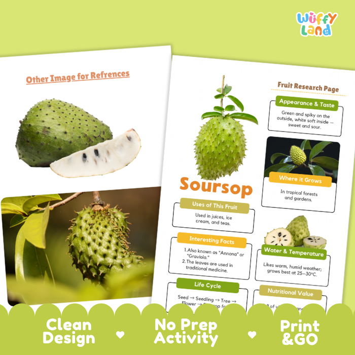 A printed soursop fruit reference sheet from Wiffy Land, showing labeled diagrams of the fruit, its uses, growth, water temperature, and nutritional value. The sheet is displayed on a light green background with decorative text banners at the bottom.